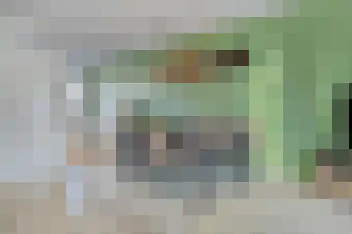 Beukenhof 7 Drunen thumbnail 6