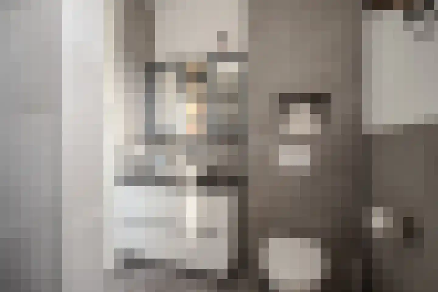 Beukenhof 7 Nuth thumbnail 18