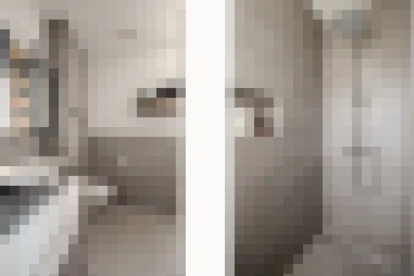 Beukenhof 7 Nuth thumbnail 19
