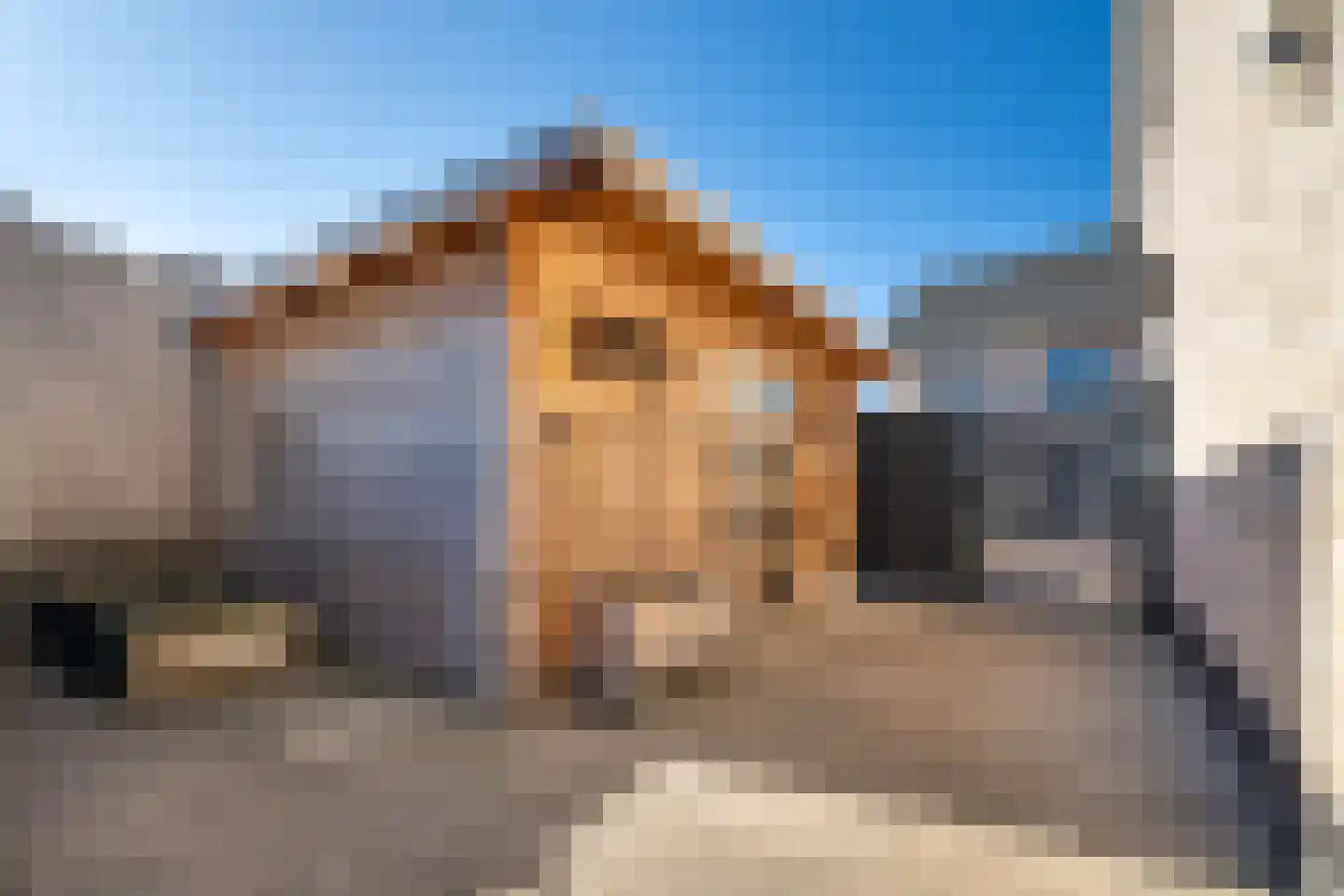 Beukenhof 7 Nuth thumbnail 26