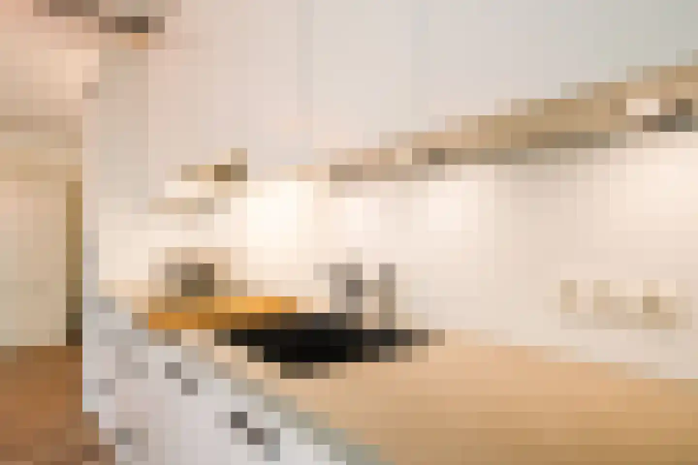 Beukenhof 8 Leersum thumbnail 15