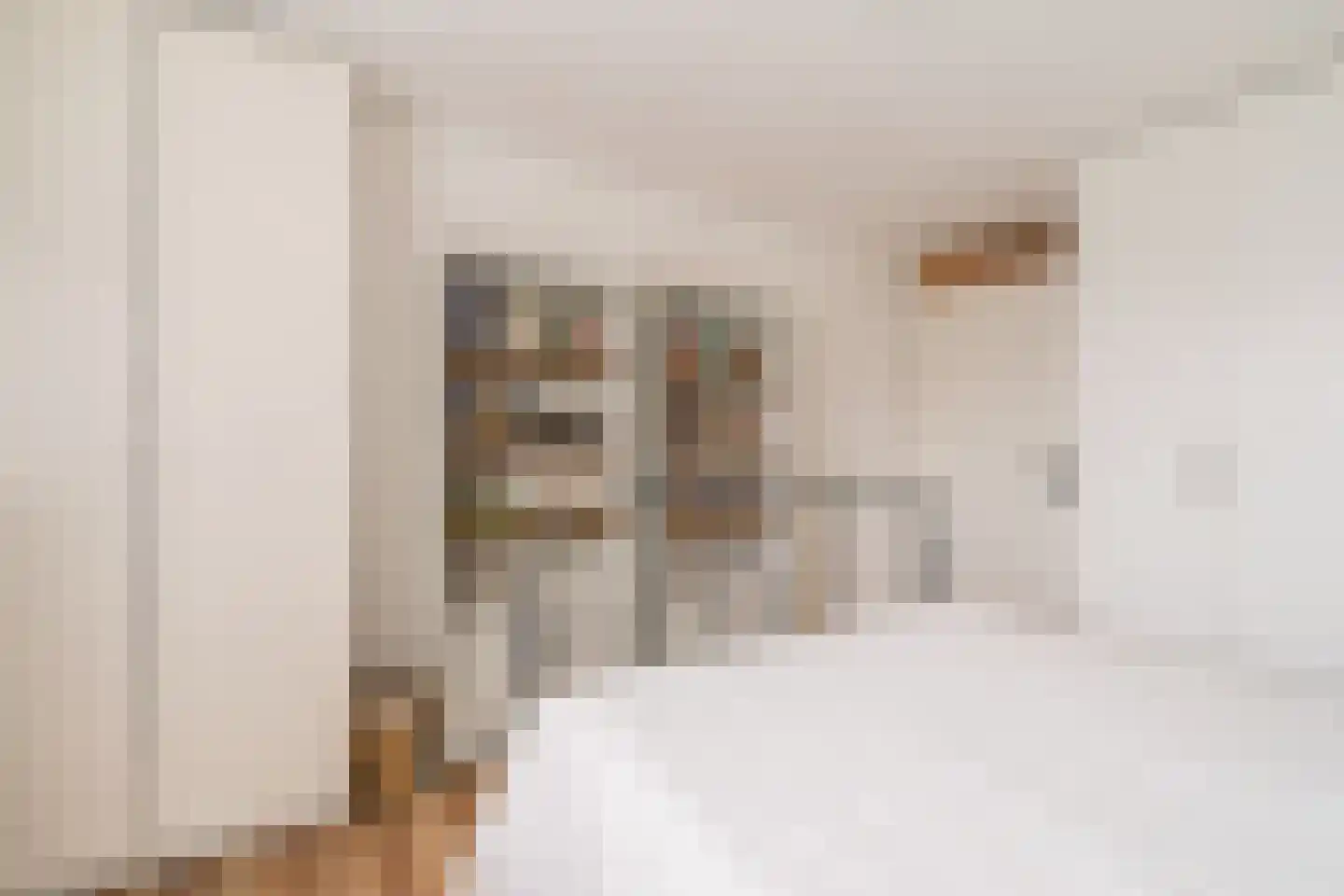 Beukenhof 8 Leersum thumbnail 18