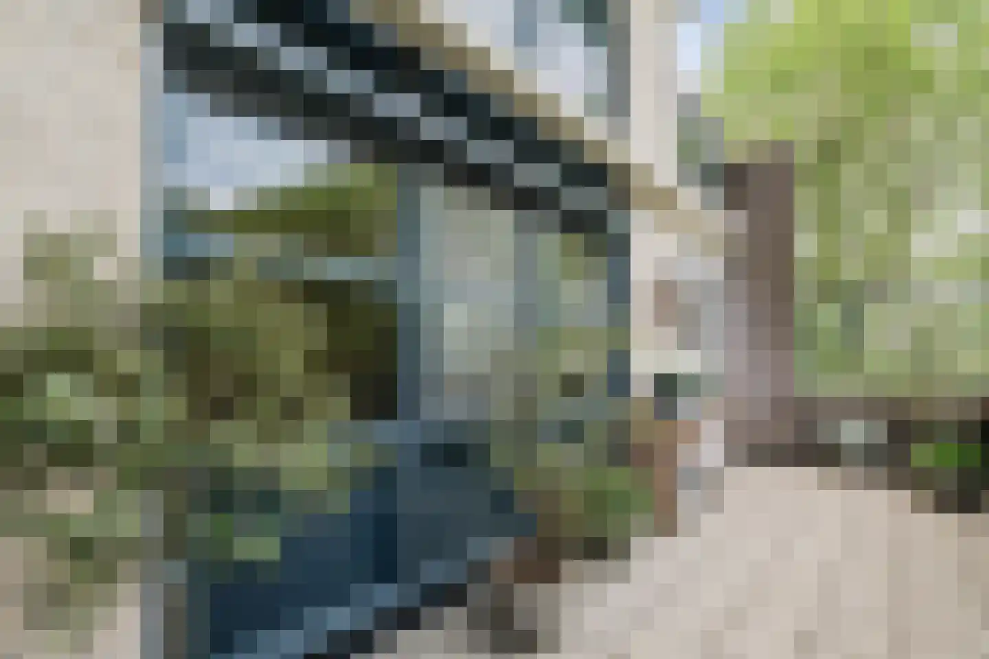 Beukenhof 8 Leersum thumbnail 24