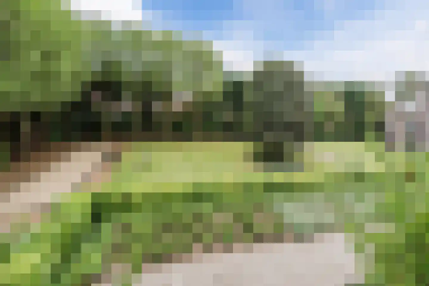 Beukenhof 8 Leersum thumbnail 26