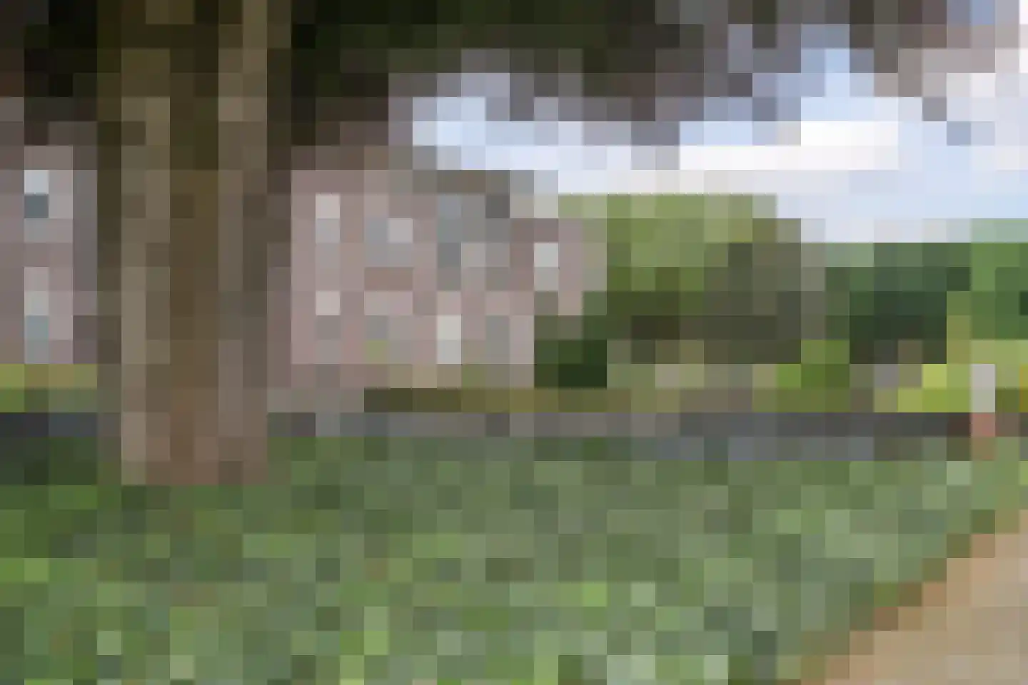 Beukenhof 8 Leersum thumbnail 33