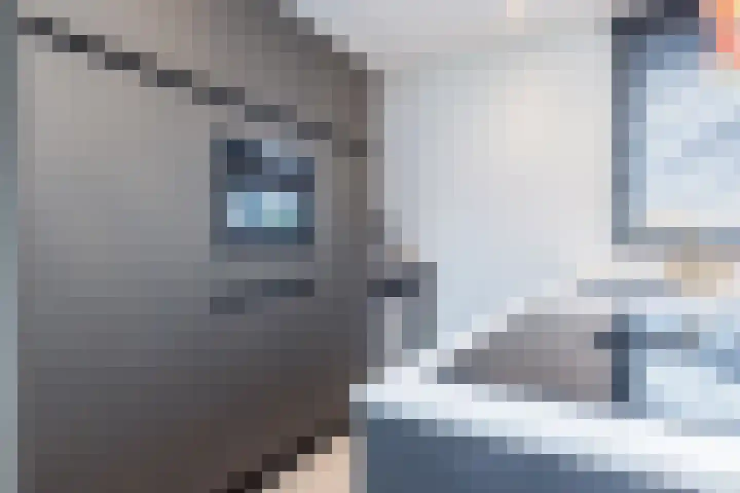 Beukenhof 8 Nuth thumbnail 13