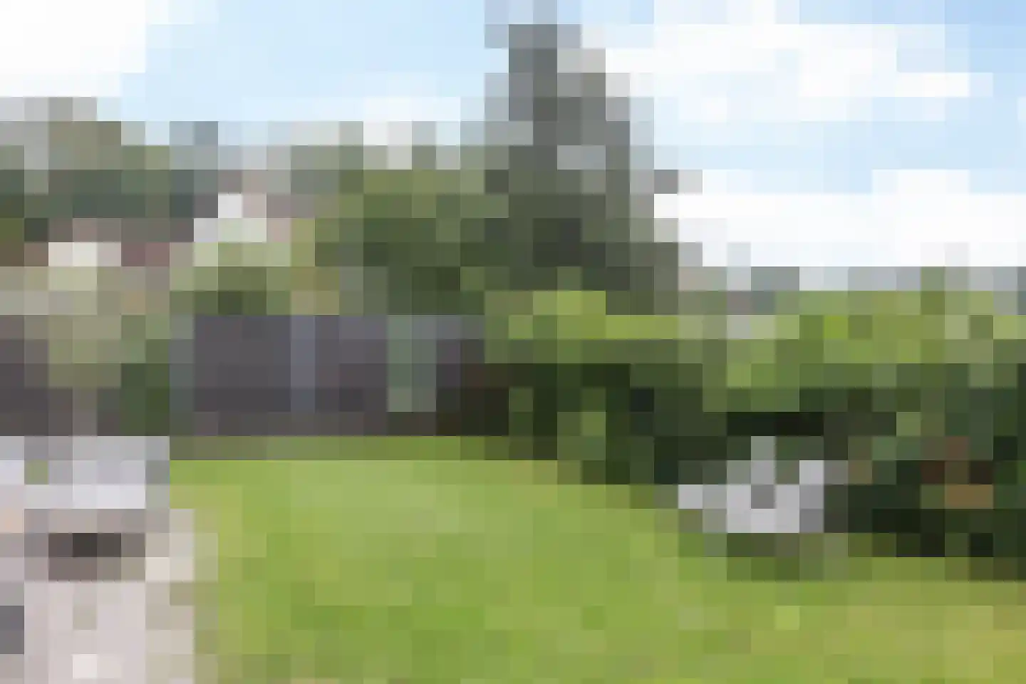 Beukenhof 8 Nuth thumbnail 35
