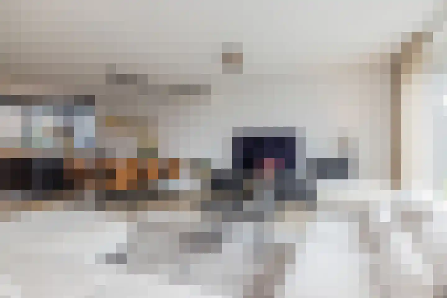 Beukenhof 8 Nuth thumbnail 7
