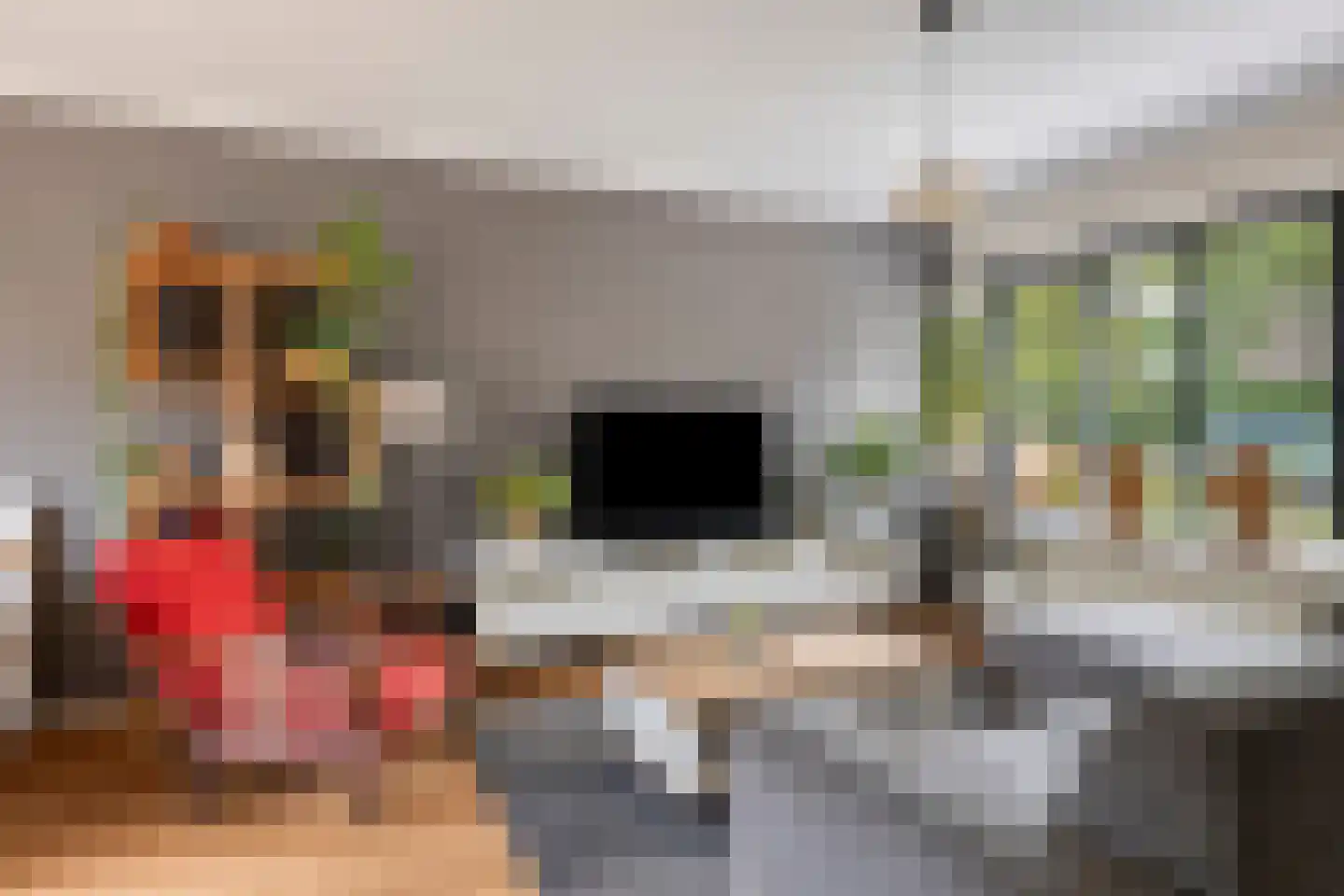 Beukenhof 8 Prinsenbeek thumbnail 11