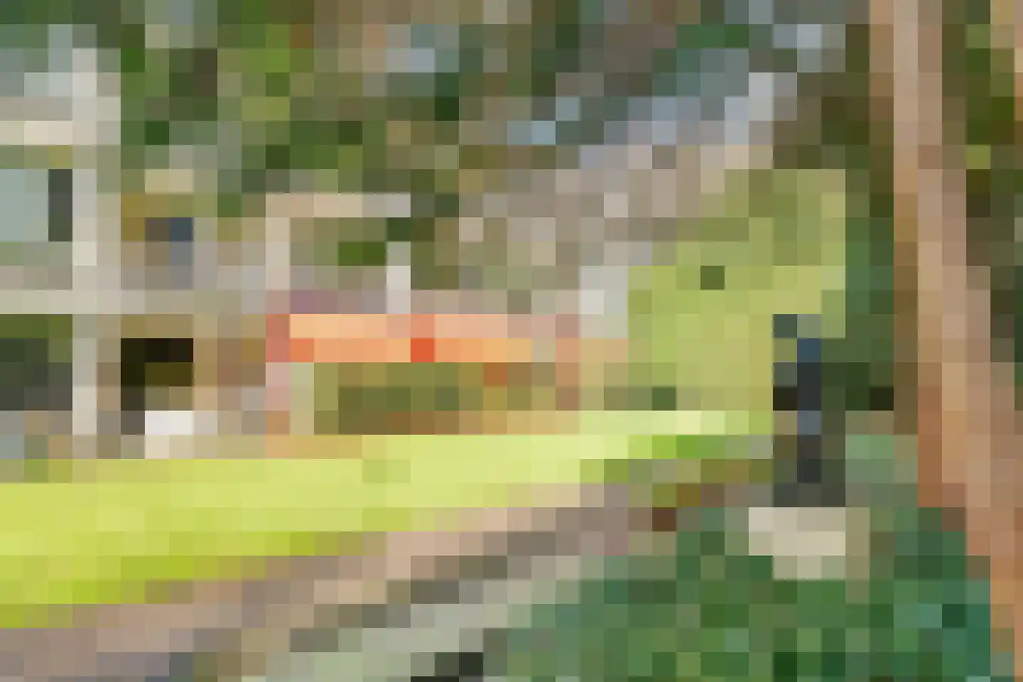 Beukenhorst 16 Driebergen-Rijsenburg