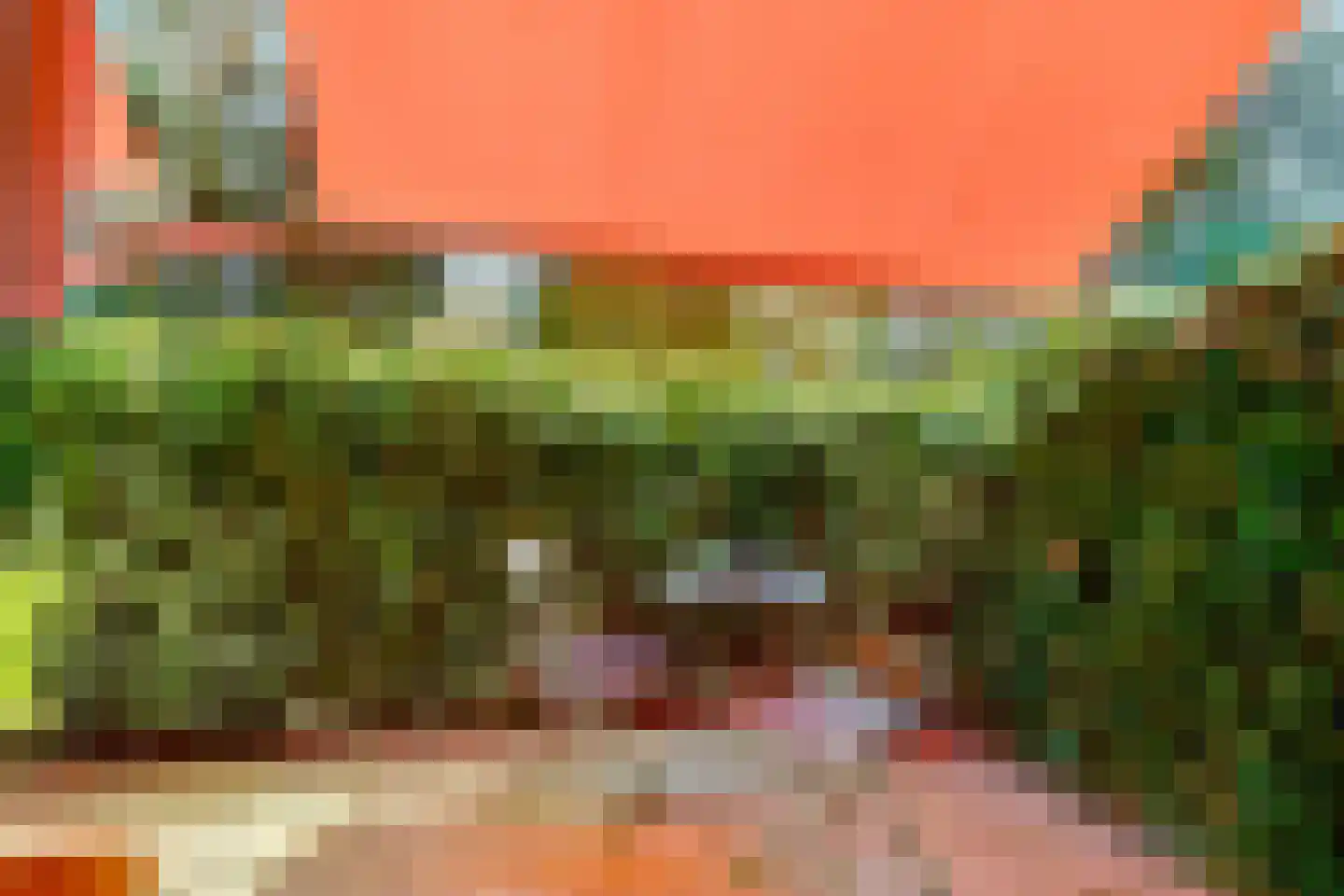 Beukenhorst 16 Driebergen-Rijsenburg thumbnail 15