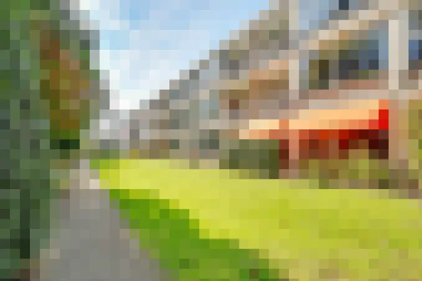 Beukenhorst 16 Driebergen-Rijsenburg thumbnail 20