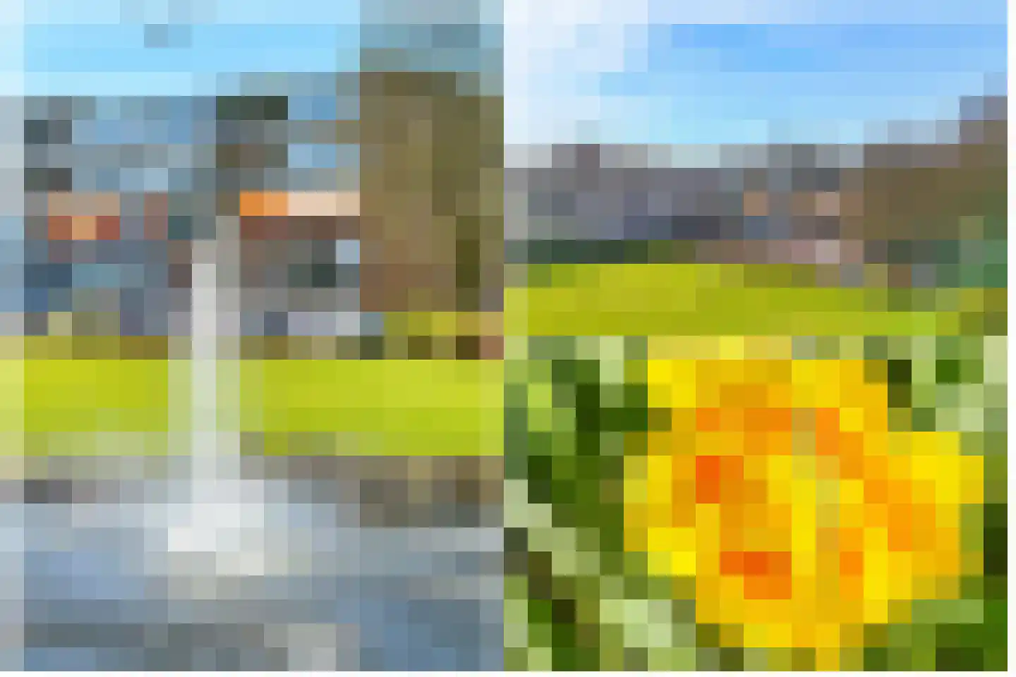Beukenhorst 16 Driebergen-Rijsenburg thumbnail 23