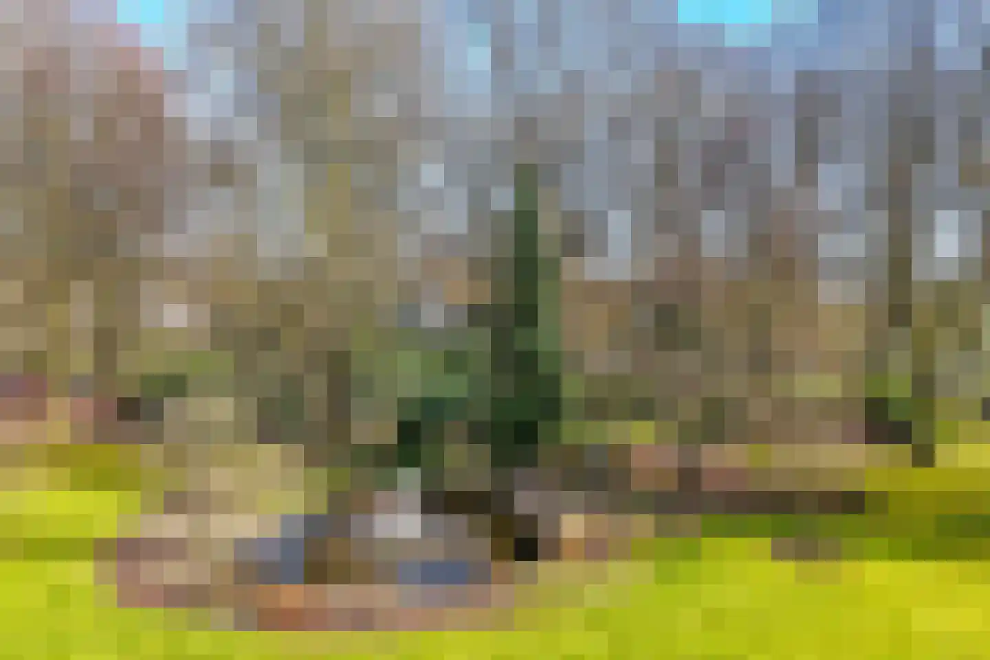 Beukenhorst 16 Driebergen-Rijsenburg thumbnail 29