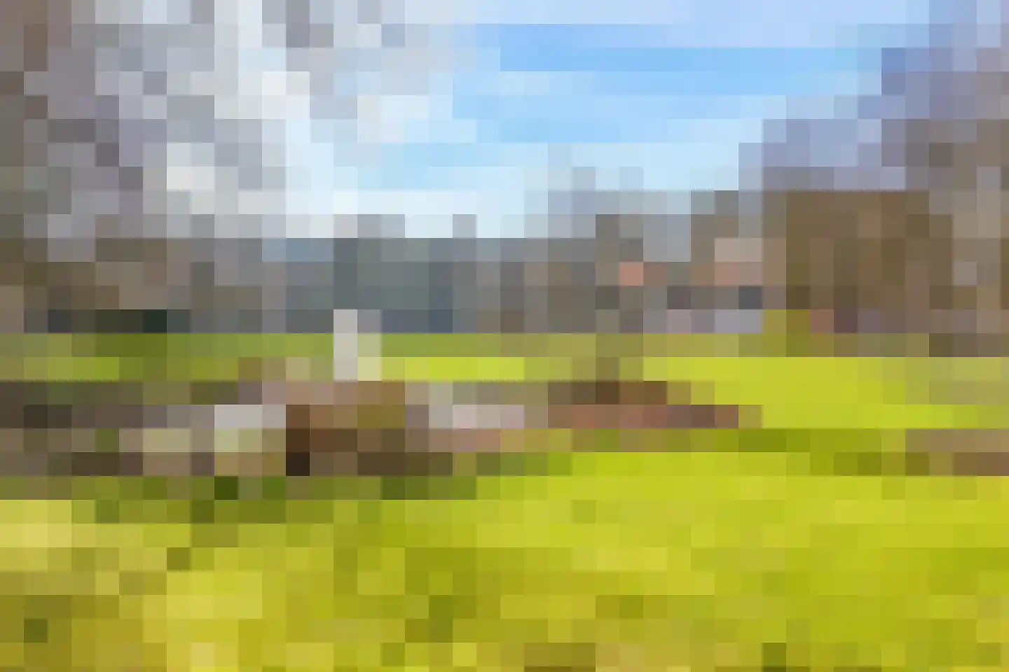 Beukenhorst 16 Driebergen-Rijsenburg thumbnail 30