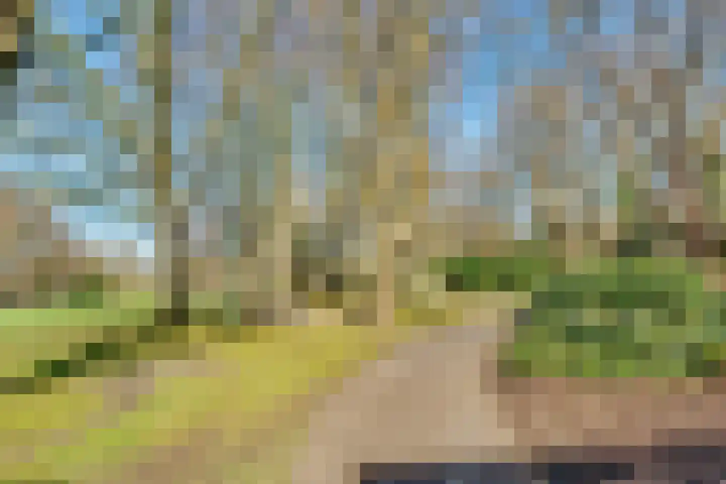 Beukenhorst 16 Driebergen-Rijsenburg thumbnail 34