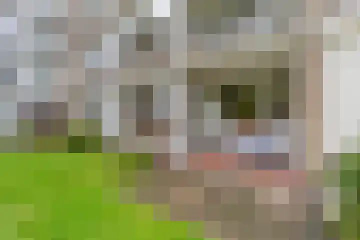 Beukenhorst 2 Driebergen-Rijsenburg thumbnail 19