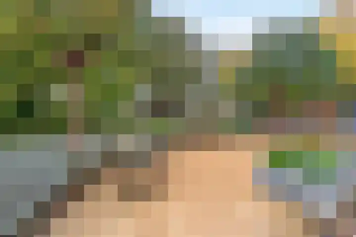 Beukenhorst 2 Driebergen-Rijsenburg thumbnail 25