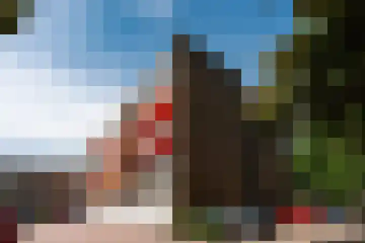 Beukenhorst 25 Driebergen-Rijsenburg thumbnail 21