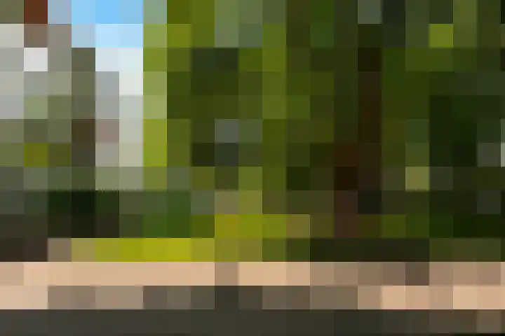 Beukenhorst 25 Driebergen-Rijsenburg thumbnail 22