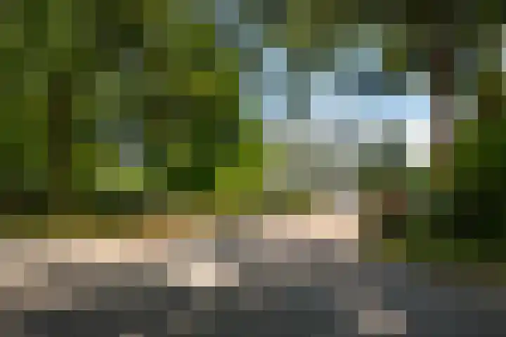 Beukenhorst 25 Driebergen-Rijsenburg thumbnail 23