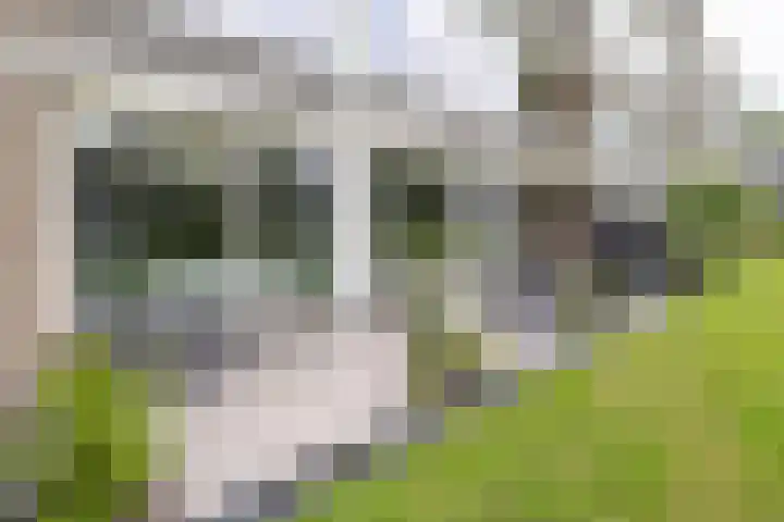 Beukenhorst 3 Driebergen-Rijsenburg thumbnail 20