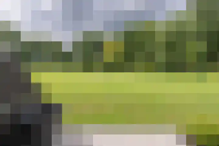 Beukenhorst 3 Driebergen-Rijsenburg thumbnail 21