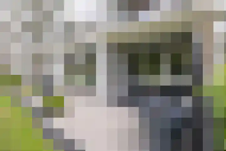 Beukenhorst 3 Driebergen-Rijsenburg thumbnail 22