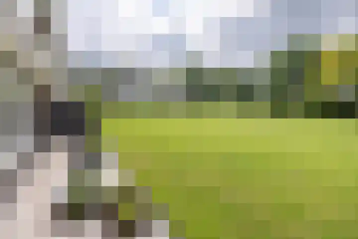 Beukenhorst 3 Driebergen-Rijsenburg thumbnail 23
