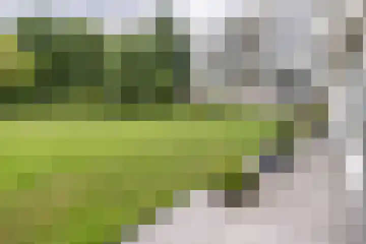 Beukenhorst 3 Driebergen-Rijsenburg thumbnail 24