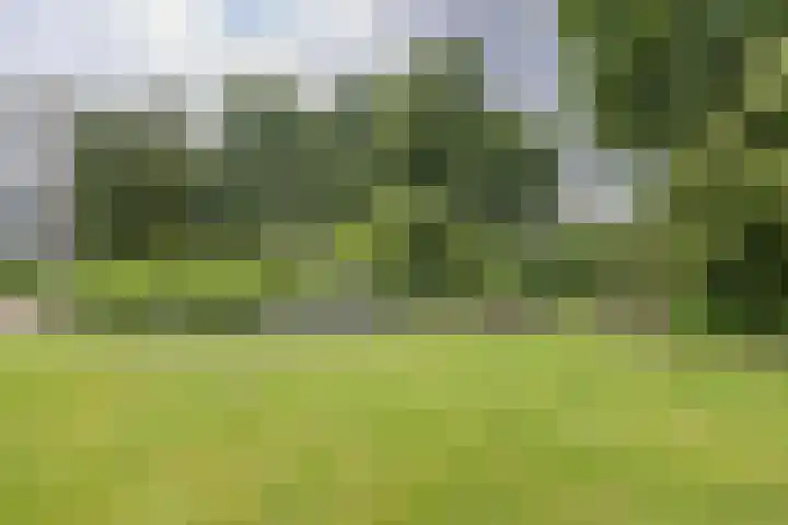 Beukenhorst 3 Driebergen-Rijsenburg thumbnail 26