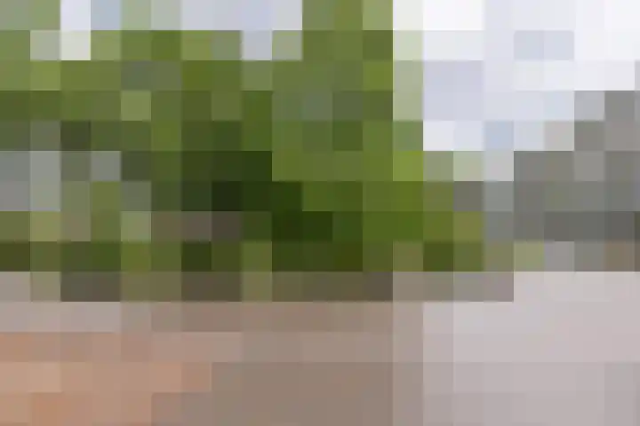 Beukenhorst 3 Driebergen-Rijsenburg thumbnail 28
