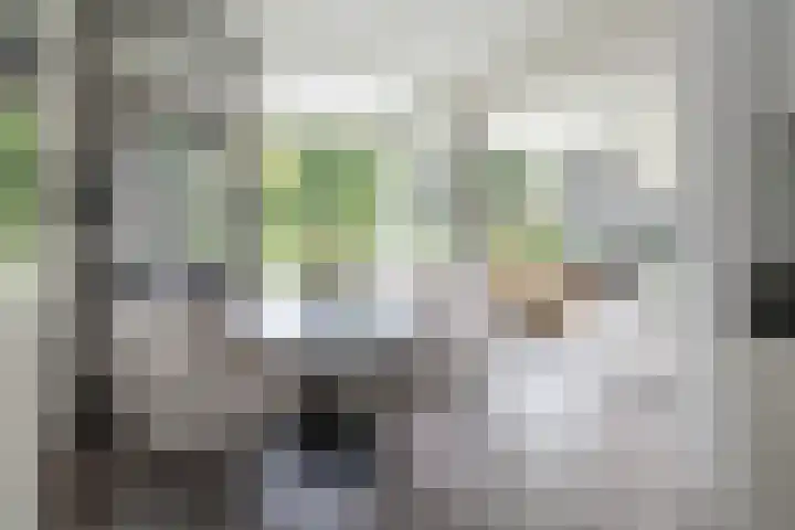 Beukenhorst 3 Driebergen-Rijsenburg thumbnail 4