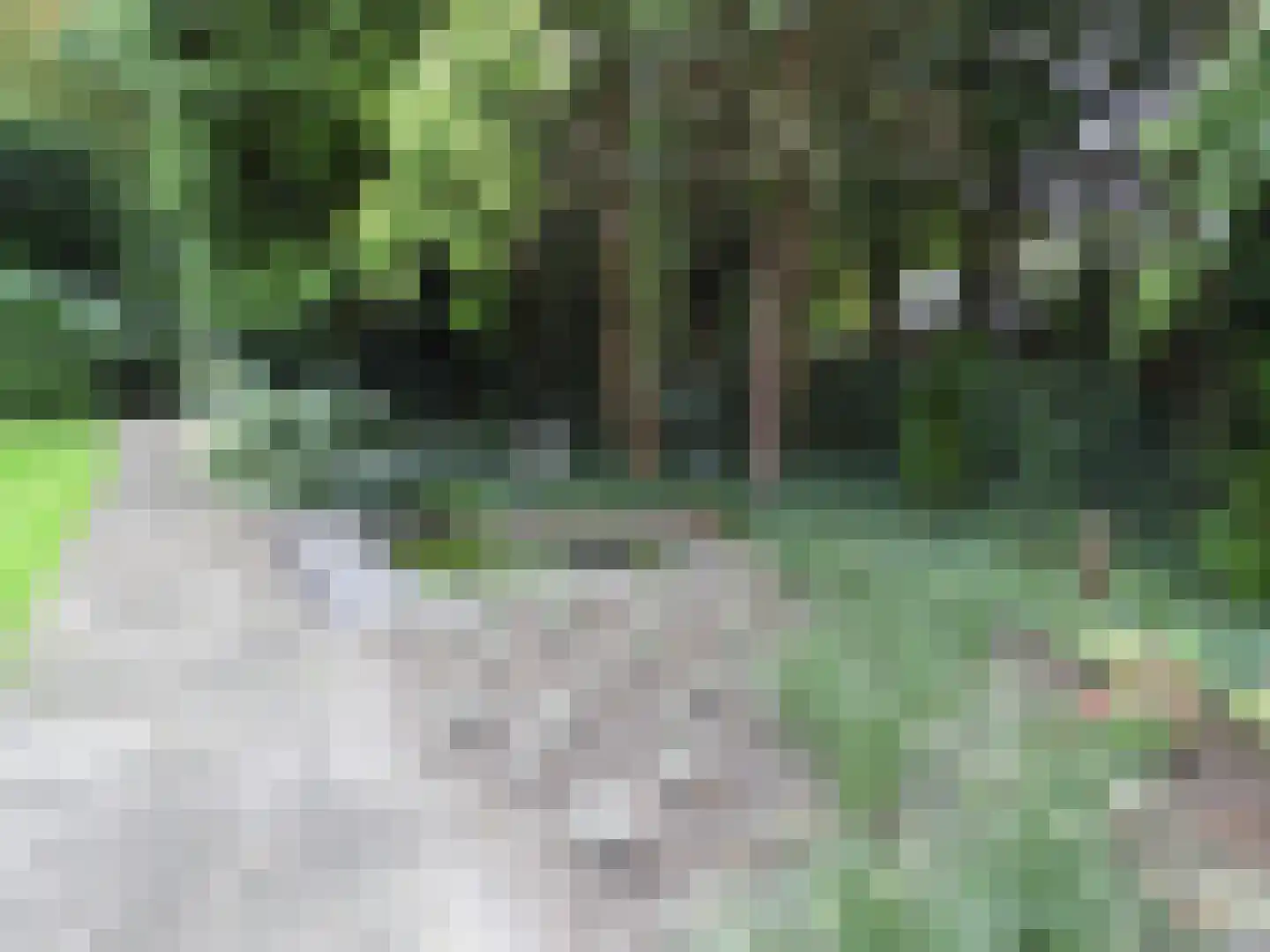 Beukenhorst 35 Driebergen-Rijsenburg thumbnail 30