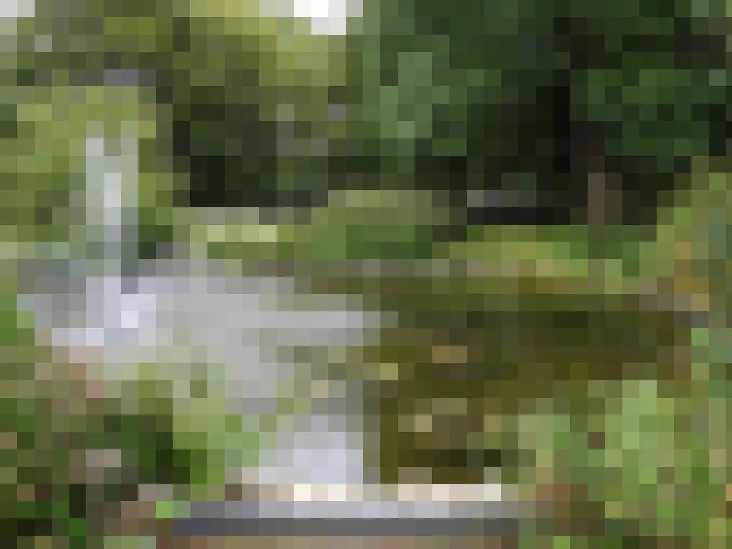Beukenhorst 35 Driebergen-Rijsenburg thumbnail 6