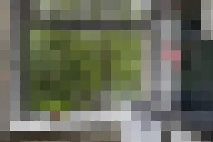 Beukenhorst 50 Driebergen-Rijsenburg thumbnail 30