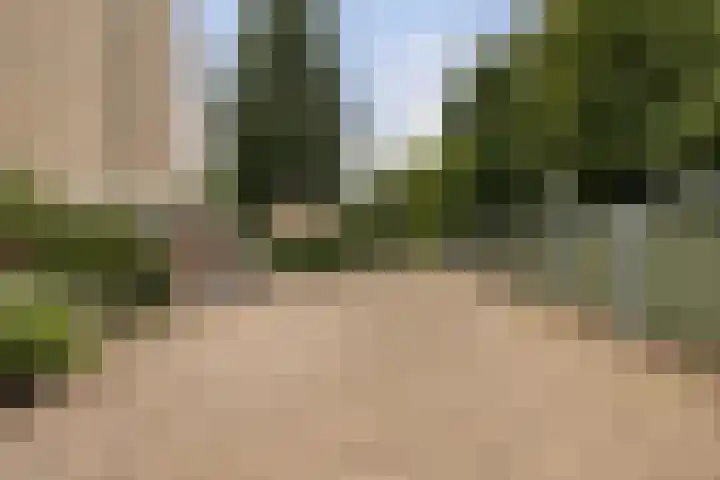 Beukenhorst 50 Driebergen-Rijsenburg thumbnail 39