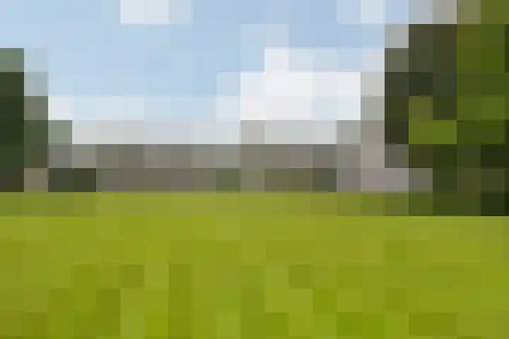 Beukenhorst 50 Driebergen-Rijsenburg thumbnail 4