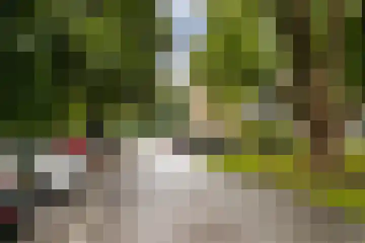 Beukenhorst 50 Driebergen-Rijsenburg thumbnail 42