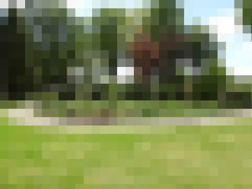 Beukenhorst 54 Driebergen-Rijsenburg thumbnail 26