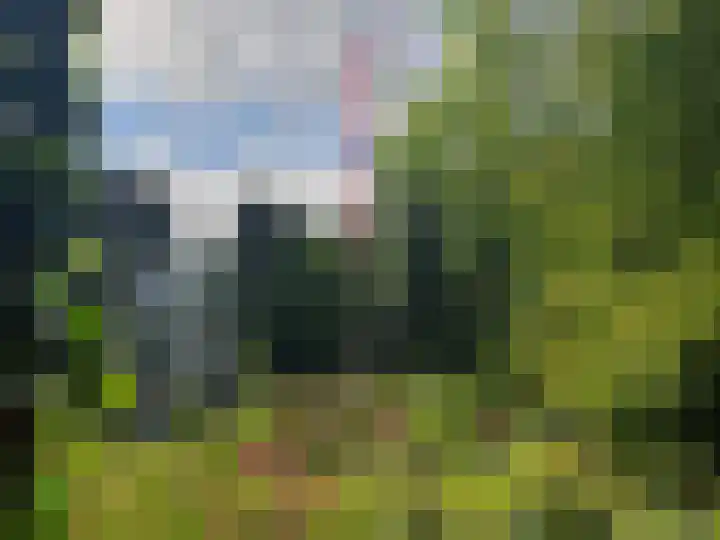 Beukenhorst 68 Driebergen-Rijsenburg thumbnail 26