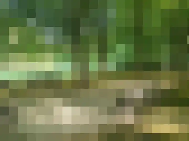 Beukenhorst 68 Driebergen-Rijsenburg thumbnail 33