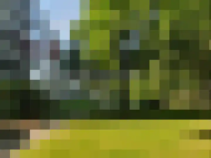 Beukenhorst 68 Driebergen-Rijsenburg thumbnail 38