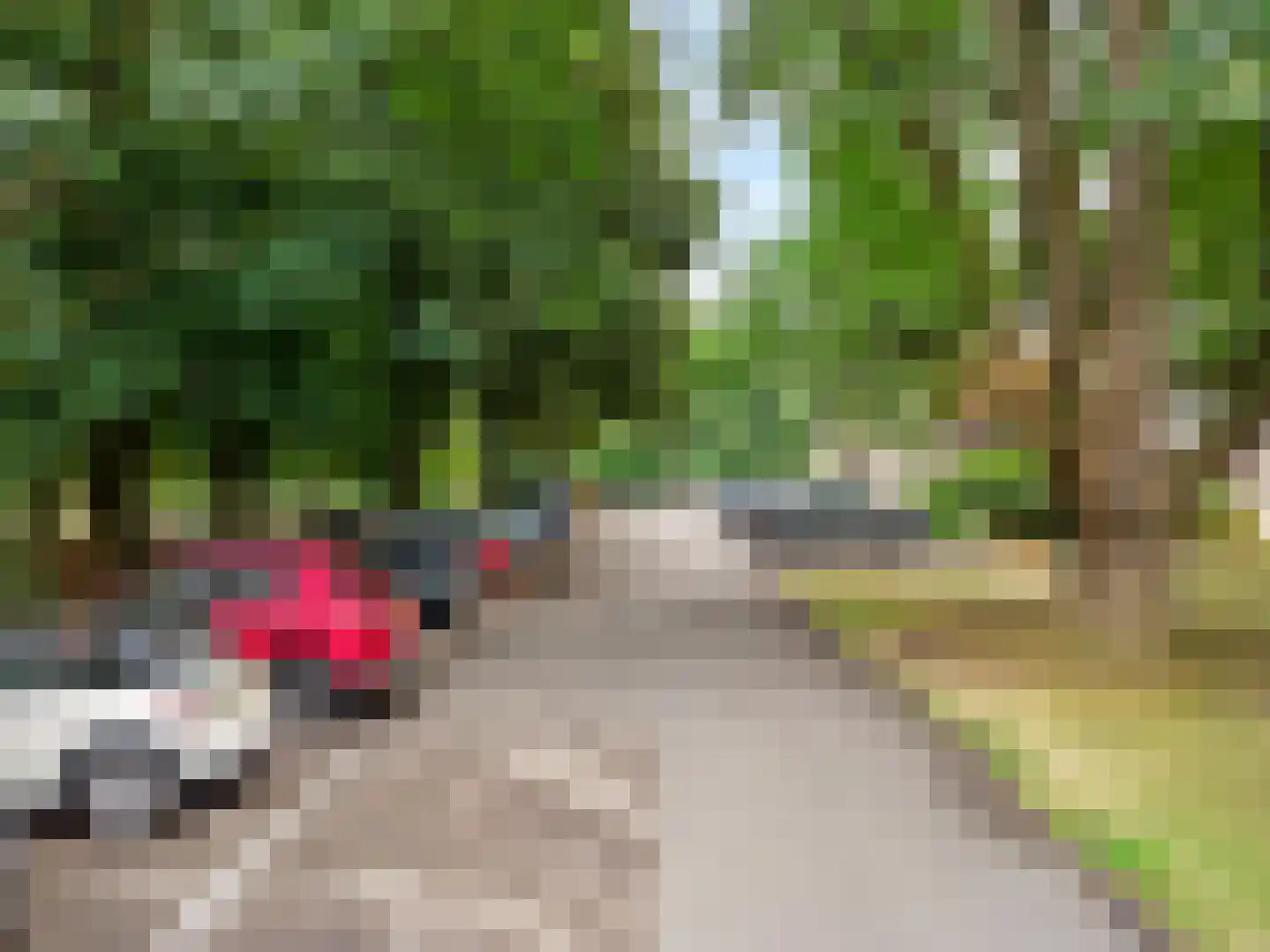 Beukenhorst 70 Driebergen-Rijsenburg thumbnail 29