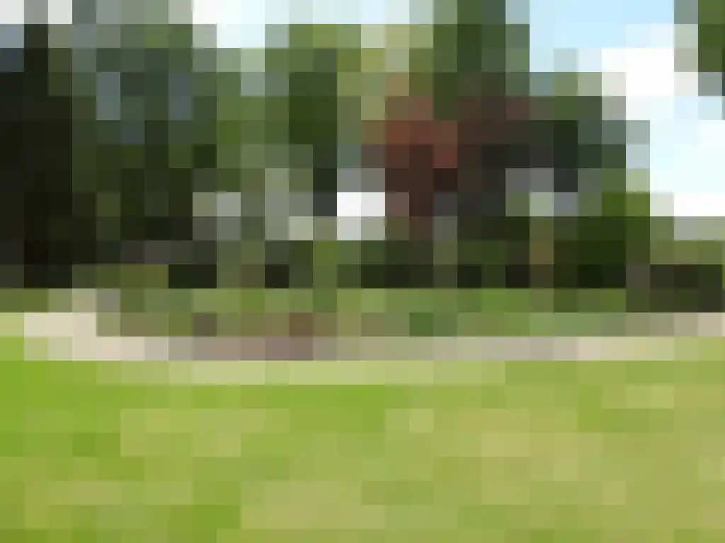 Beukenhorst 83 Driebergen-Rijsenburg thumbnail 21