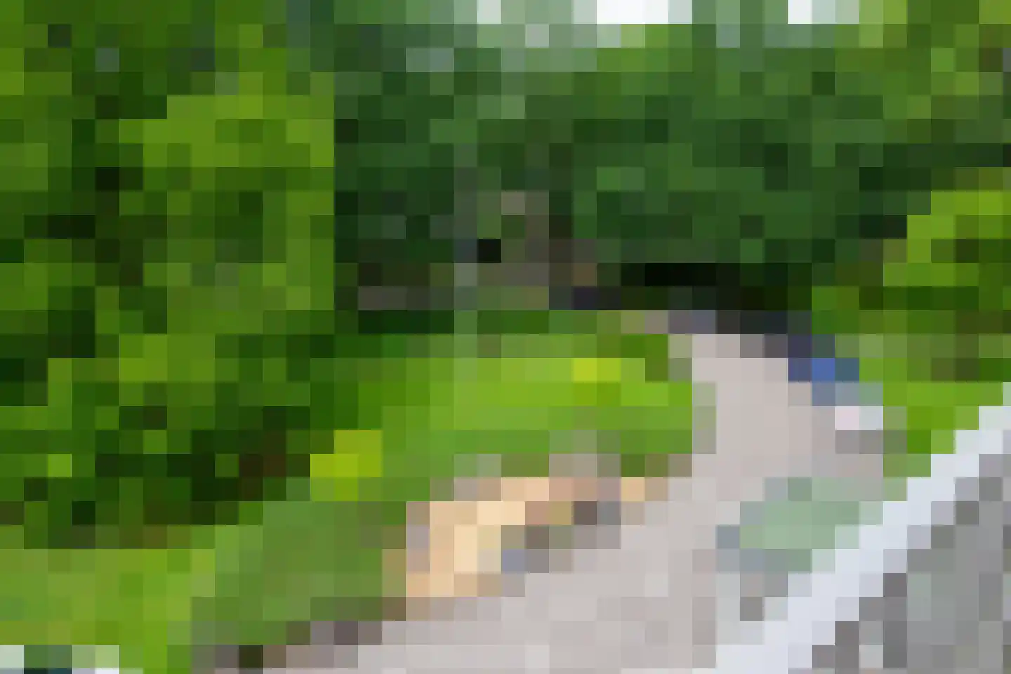 Beukenhorst 83 Driebergen-Rijsenburg thumbnail 23