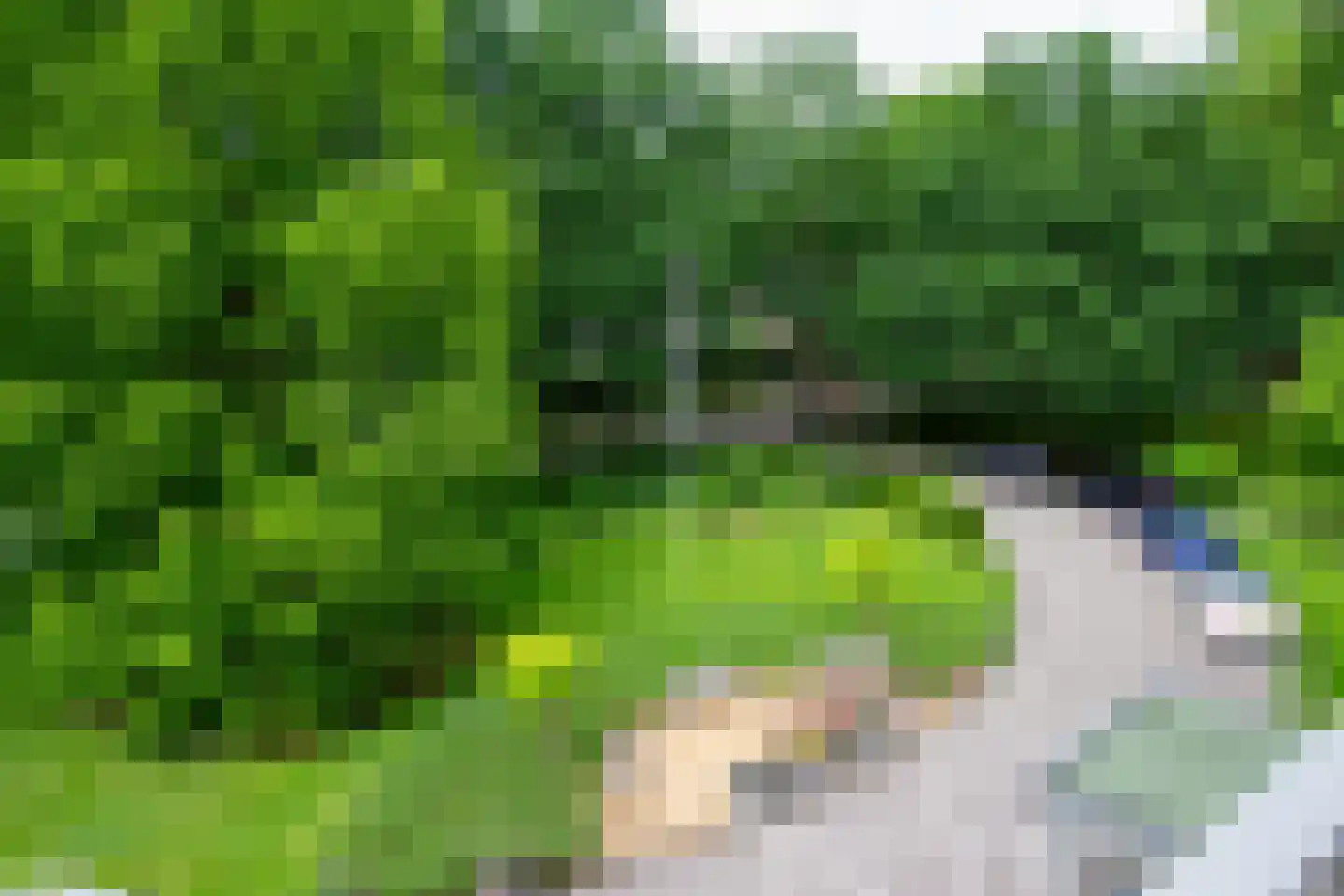 Beukenhorst 83 Driebergen-Rijsenburg thumbnail 24