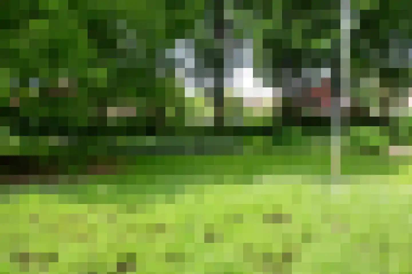 Beukenhorst 83 Driebergen-Rijsenburg thumbnail 25