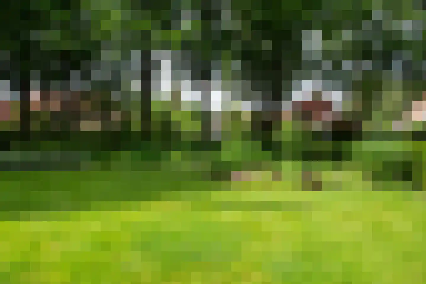Beukenhorst 83 Driebergen-Rijsenburg thumbnail 27