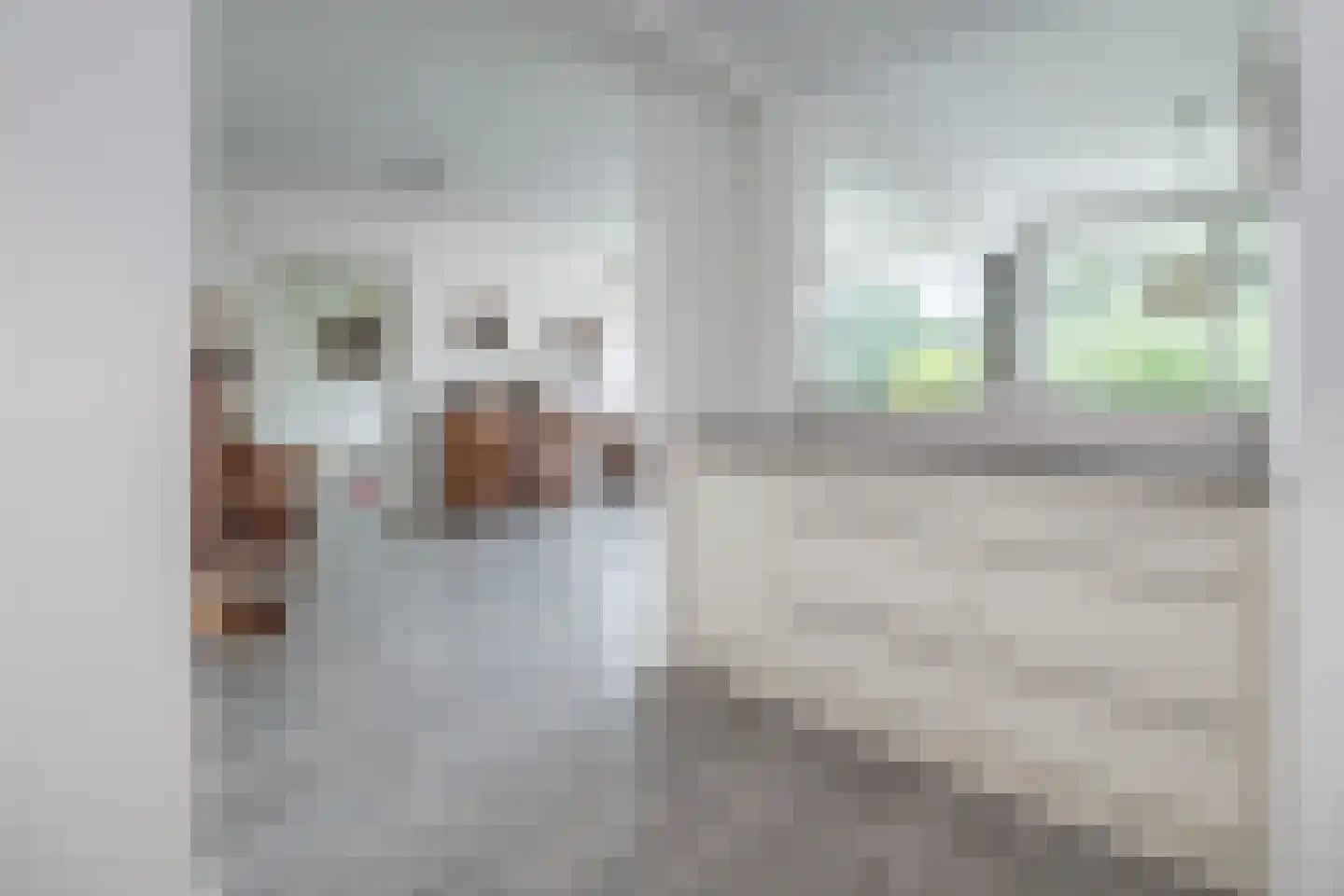 Beukenhorst 87 Driebergen-Rijsenburg thumbnail 11